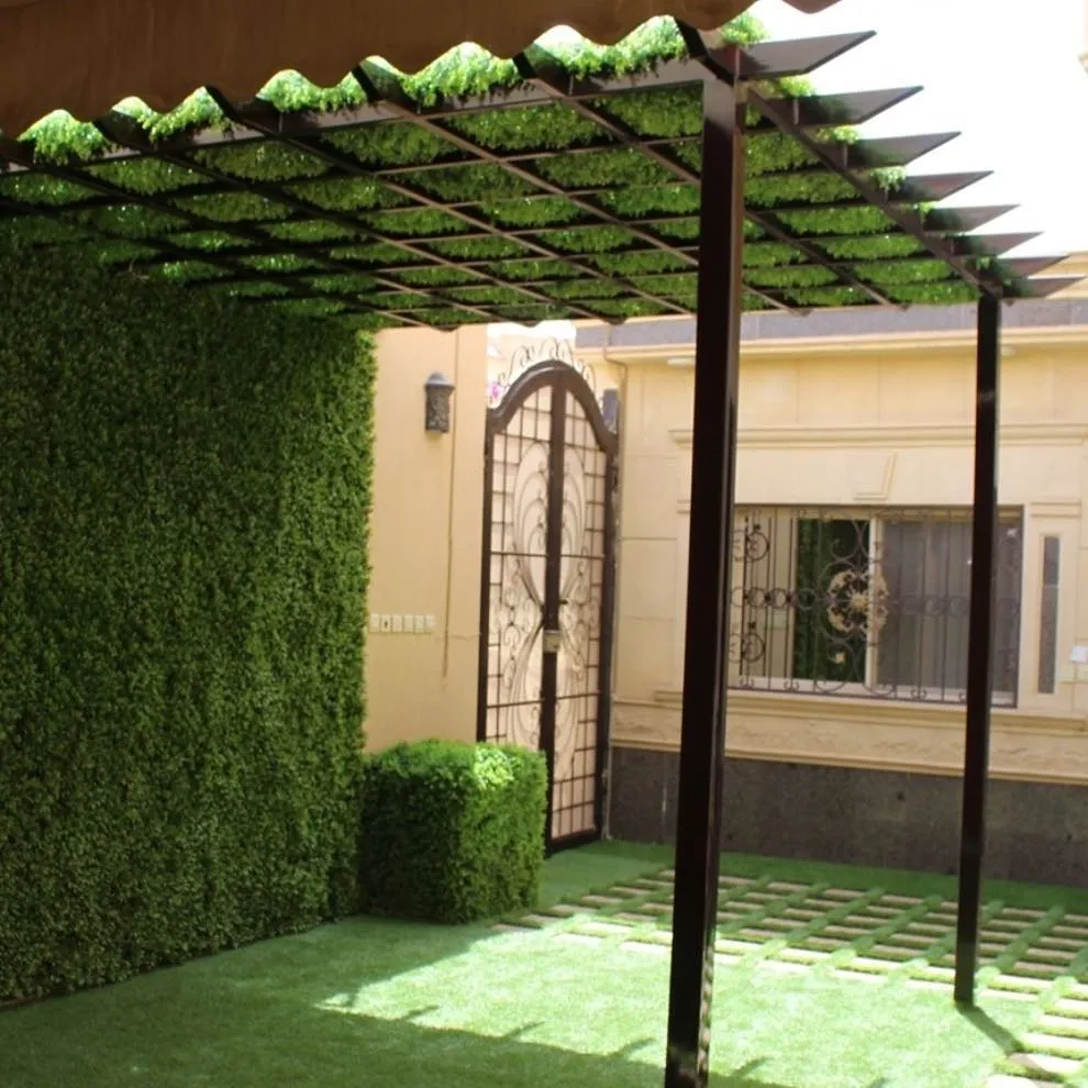 برجولات الرياض